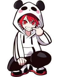 crazy raccoon fan art
