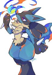 lucario from pokemon by kokodari
