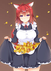 masaki gaillard from amairo islenauts