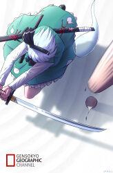 konpaku youmu from national geographic by royl