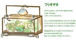 bulbasaur from pokemon by tsukunosuke