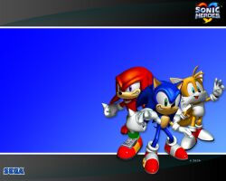 knuckles the echidna from sonic (series)