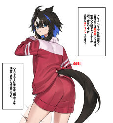 heart's cry (racehorse) from original by fukuro (maruaru00)