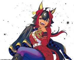 umamusume fan art
