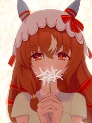 still in love (umamusume) from umamusume