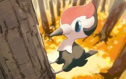 pikipek from pokemon