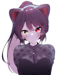 inui toko from nijisanji