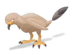 staraptor from pokemon