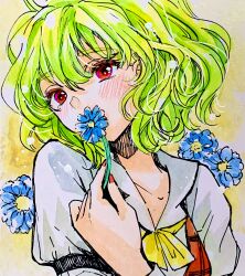 kazami yuuka from touhou