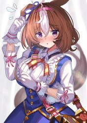 meisho doto (umamusume) from umamusume by ame sagari