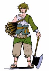 link from the legend of zelda by mouyi