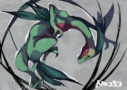 grovyle from pokemon
