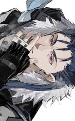 cu chulainn (fate) from fate/stay night