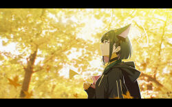kazusa (blue archive) from blue archive