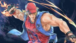 terry bogard from fatal fury
