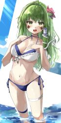 kochiya sanae from cookie (touhou)