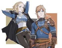 link from the legend of zelda