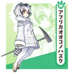 northern white-faced owl (kemono friends) from dragon poker