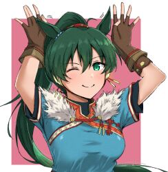 lyn (fire emblem) from fire emblem