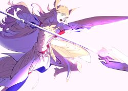 sharena (fire emblem) from fire emblem