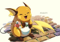 raichu from pokemon by noahzark1212