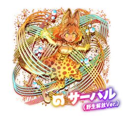 serval (kemono friends) from dragon poker