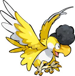 squawkabilly from pokemon by kawaanago
