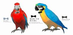 scarlet macaw from original by nagabe
