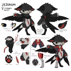jejenum (jejejunum) from original by jejejunum