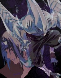 hoshigaki kisame from naruto (series)