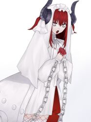 elizabeth bathory (fate) from fate/grand order
