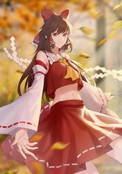 hakurei reimu from touhou