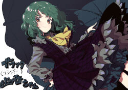kazami yuuka from touhou by kinosaki