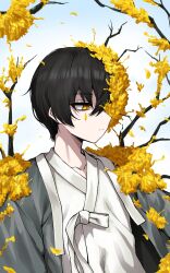 yi sang (project moon) from limbus company