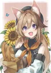 cardigan (arknights) from arknights