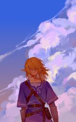 link from the legend of zelda