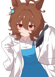 agnes tachyon (umamusume) from umamusume