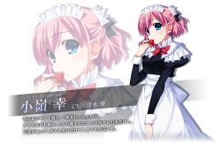 komine sachi from grisaia (series) by fumio (ura fmo)