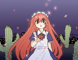vivit from seihou