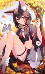 miofa (ookami mio) from hololive