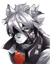von lycaon from zenless zone zero