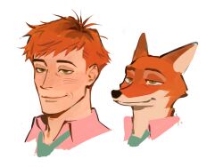 nick wilde from zootopia