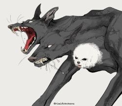 cerberus from original by black dog