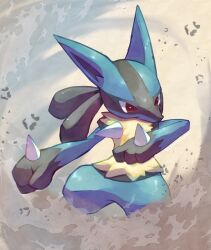 lucario from pokemon