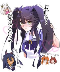 biwa hayahide (umamusume) from umamusume by naegi happy