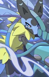 lucario from pokemon