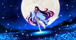 columbina (genshin impact) from genshin impact