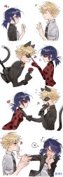 adrien agreste from miraculous ladybug