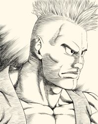hassan (dq6) from dragon quest by lee (dragon garou)