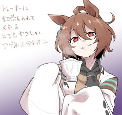 agnes tachyon (tach-nology) (umamusume) from umamusume by berusuke (beru no su)